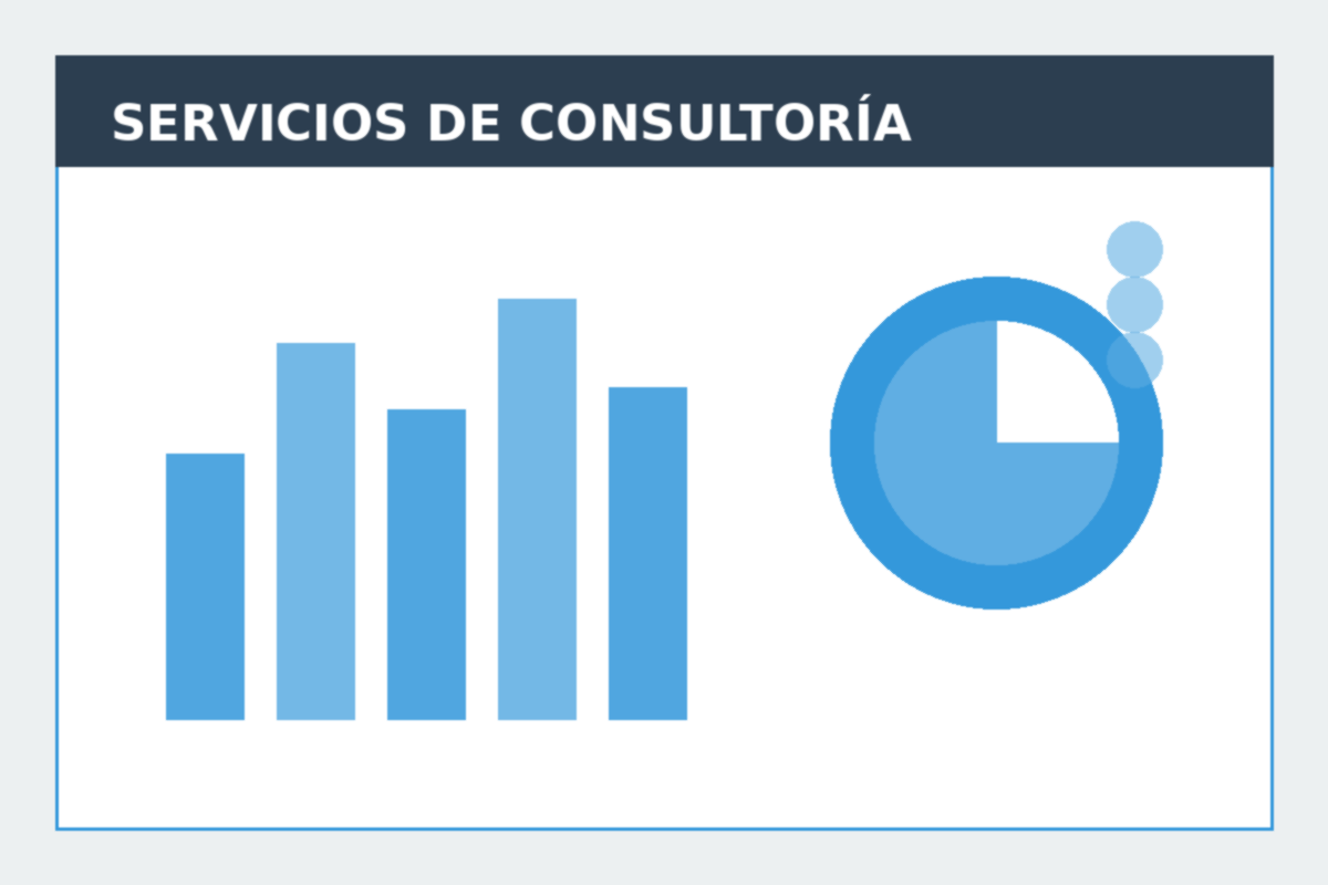 CONSULTORÍA